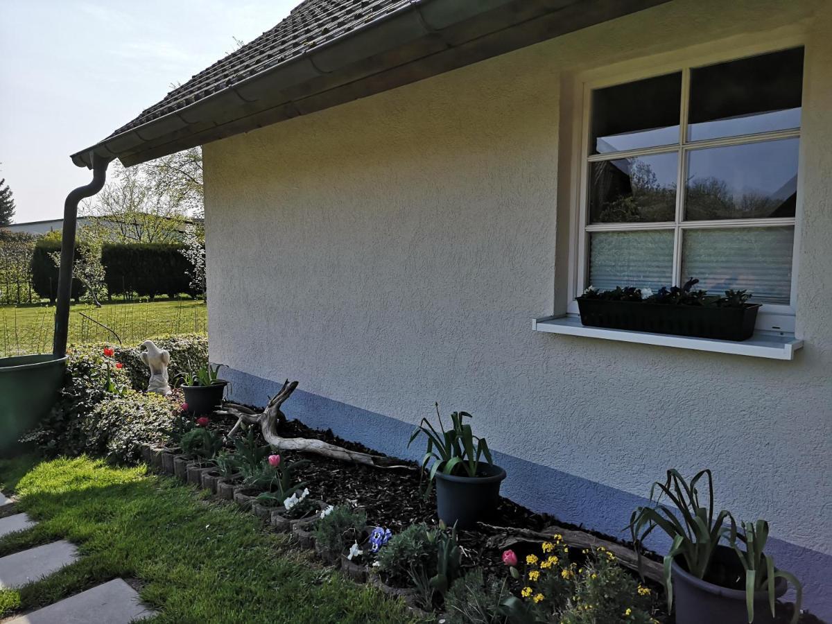 Boddenhus Auf Ruegen - Ferienwohnungen Und Pension Rappin Exteriér fotografie