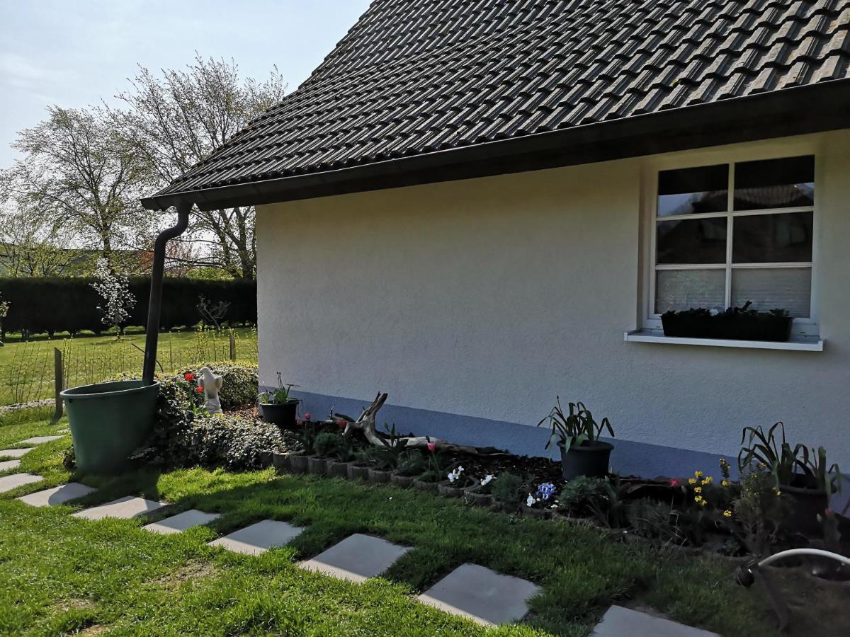 Boddenhus Auf Ruegen - Ferienwohnungen Und Pension Rappin Exteriér fotografie