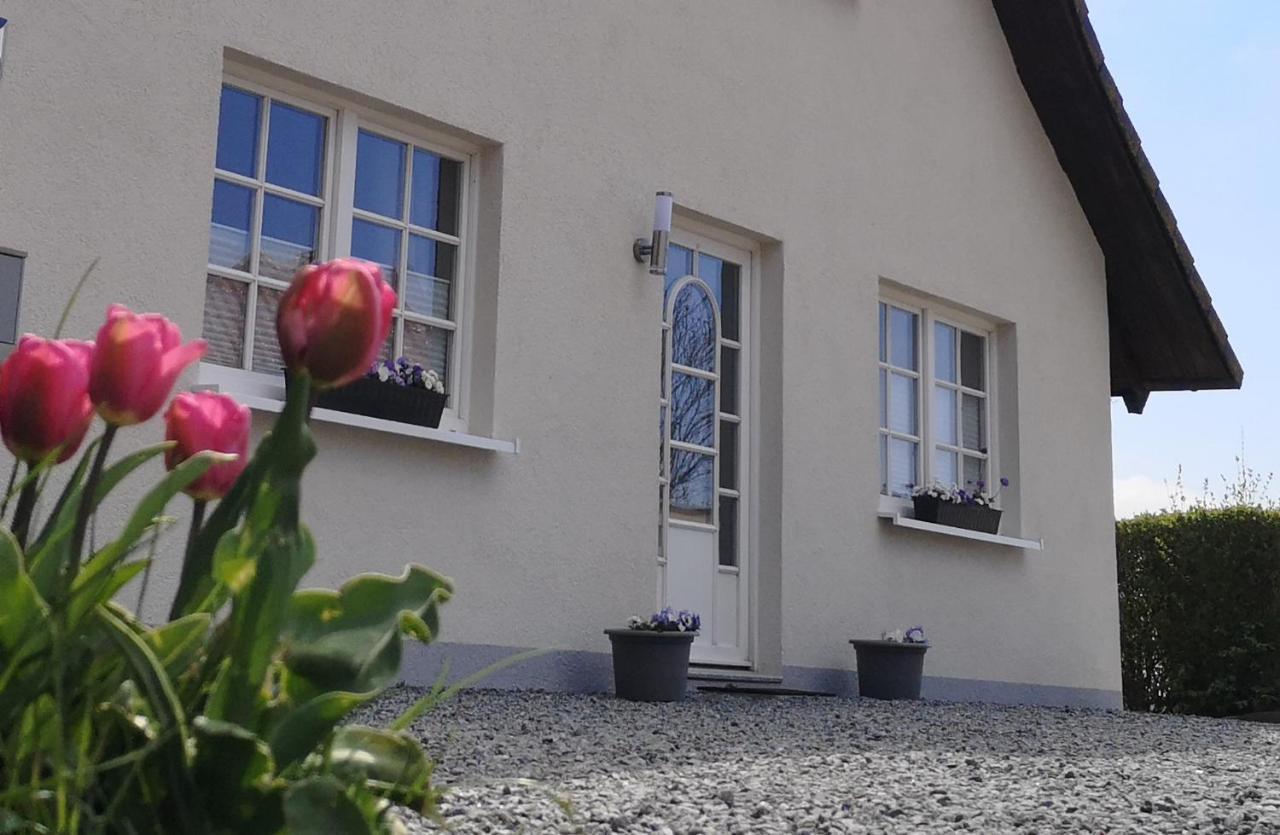 Boddenhus Auf Ruegen - Ferienwohnungen Und Pension Rappin Exteriér fotografie