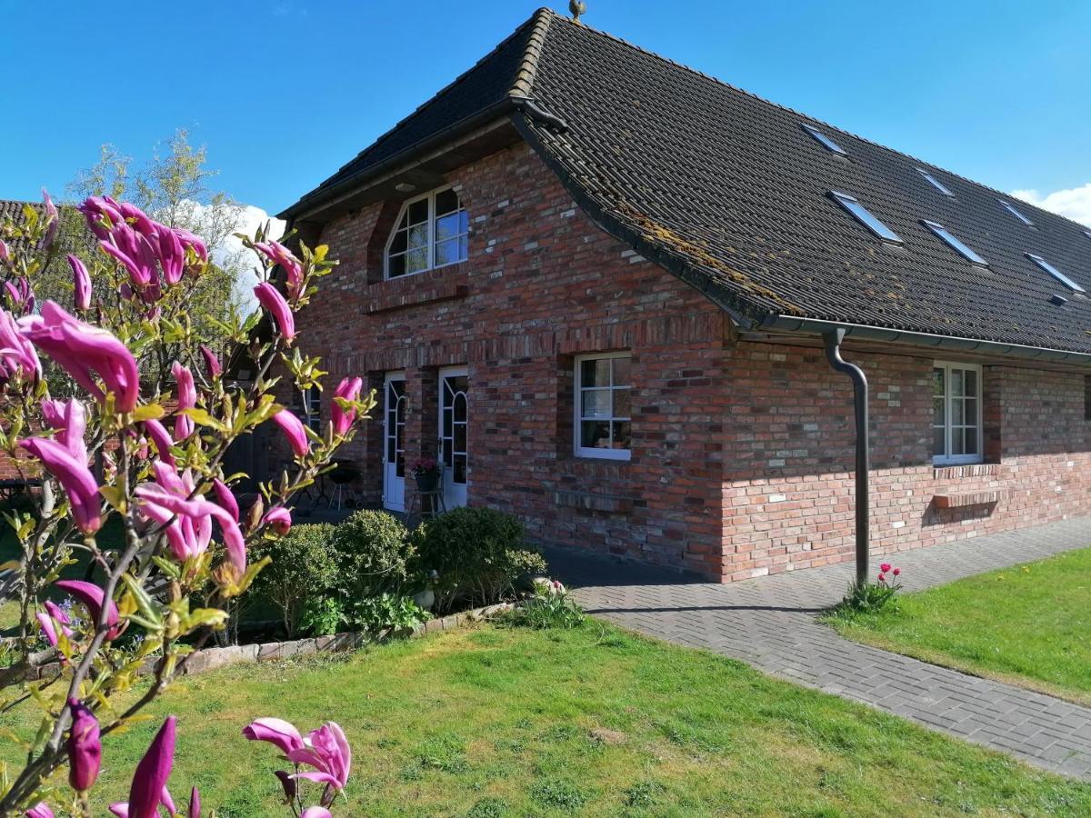 Boddenhus Auf Ruegen - Ferienwohnungen Und Pension Rappin Exteriér fotografie