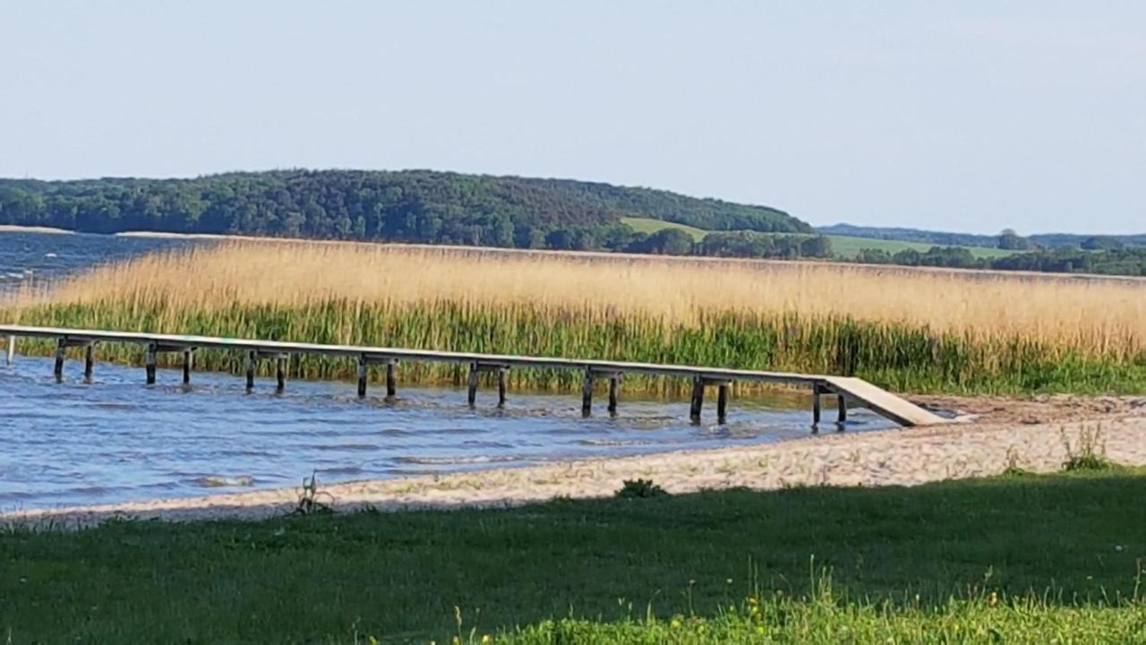 Boddenhus Auf Ruegen - Ferienwohnungen Und Pension Rappin Exteriér fotografie